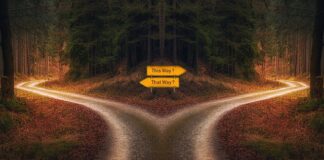 This Way or That way