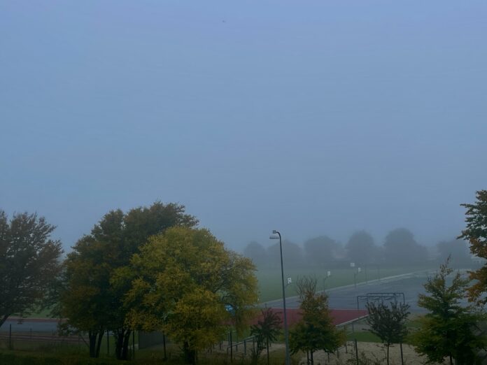 AVISEN 2024.10.18 Tåge