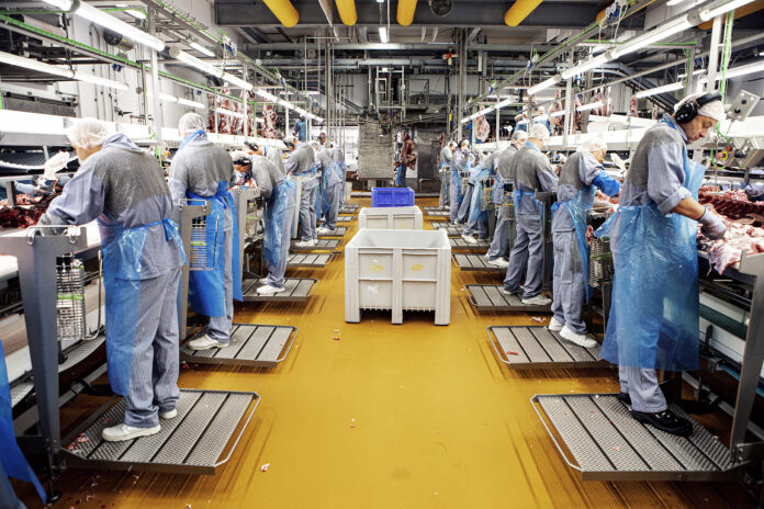 danish-crown-holsted-2