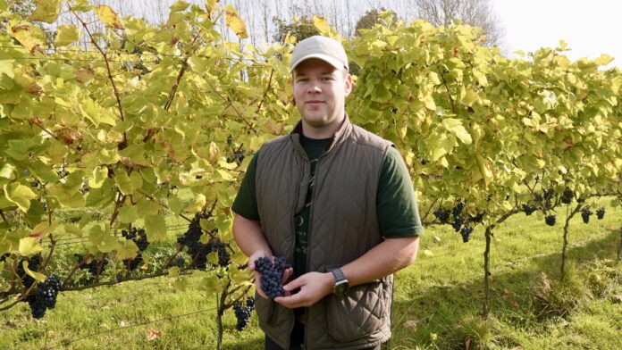 mikkel rose rose winery