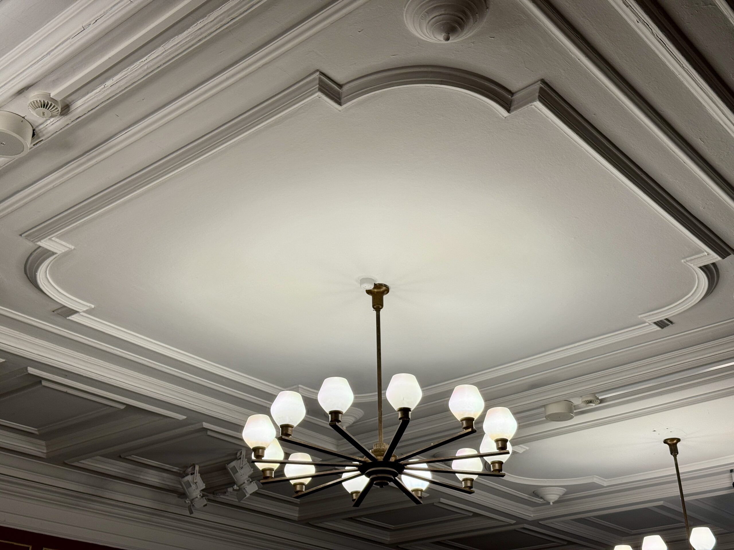 Stor debat om ny lokalplan i Nyborg: “Det Nye Sølyst” vedtaget med flertal