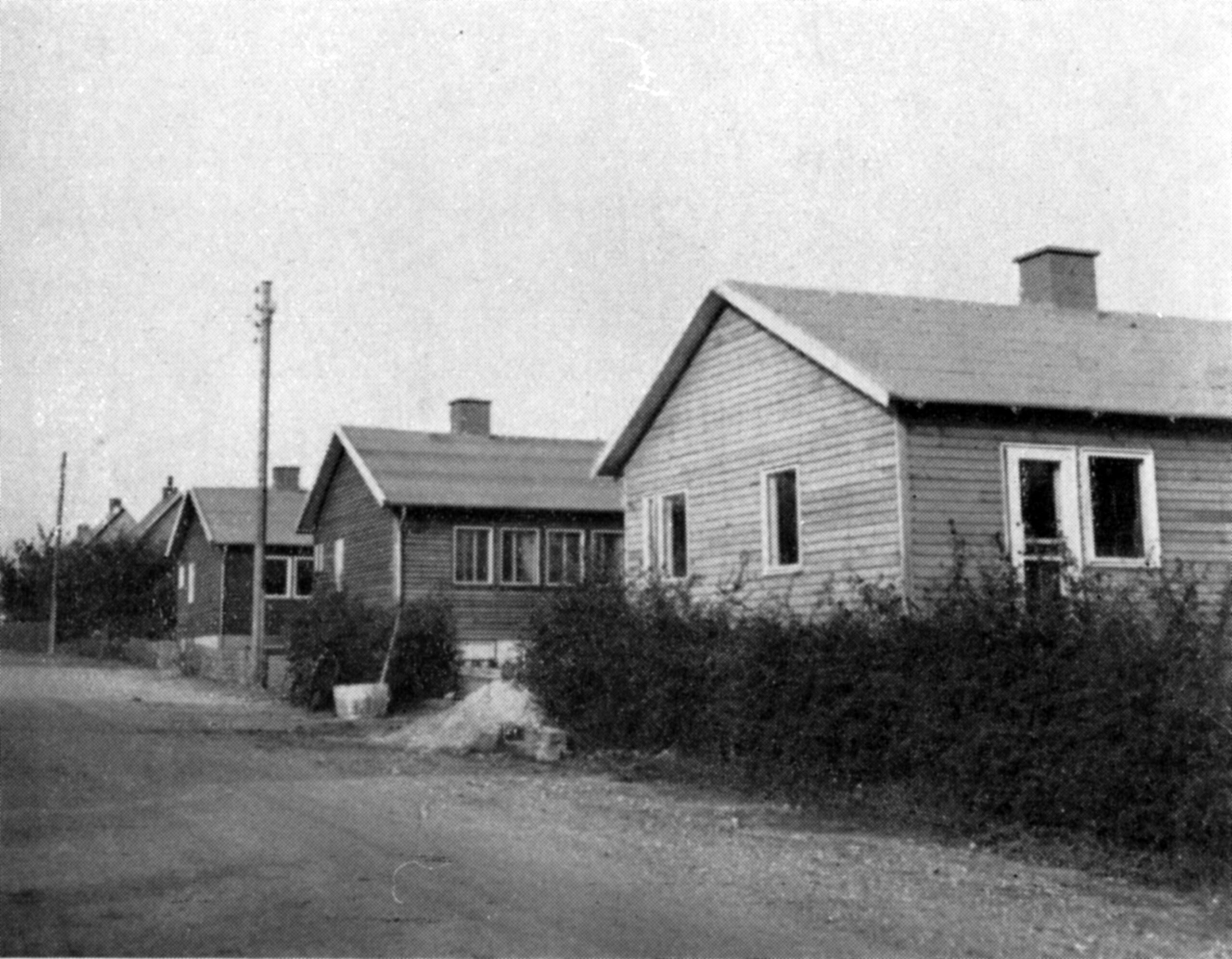 Historien om 33 særlige træhuse i Fredericia