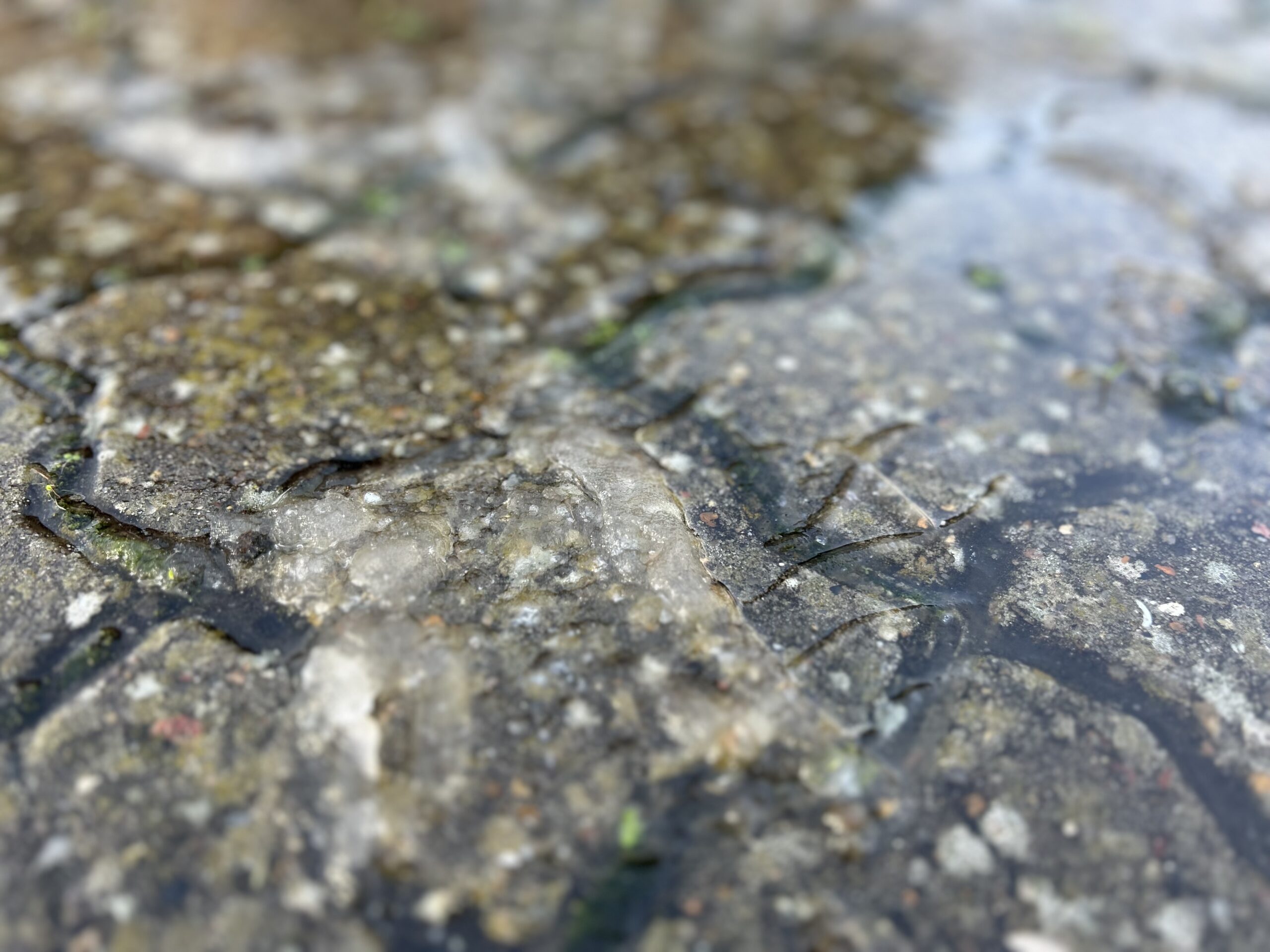 Blæst og regn sætter gang i første søndag i advent