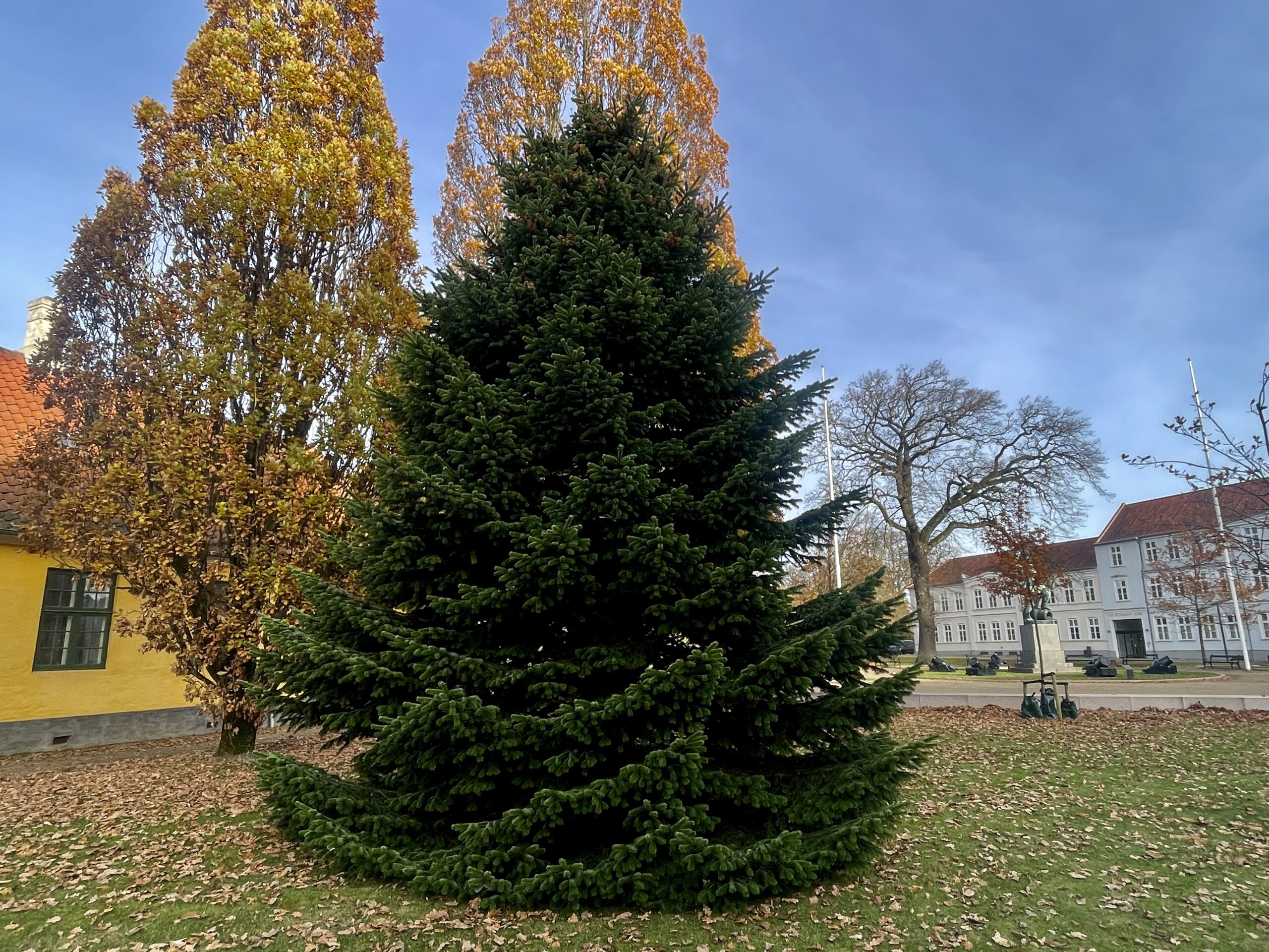 Julestemningen breder sig i Fredericia Julestemningen breder sig i Fredericia