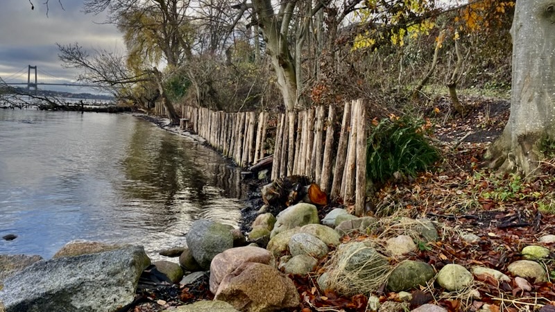 Konflikt om kystsikring i Erritsø Konflikt om kystsikring i Erritsø