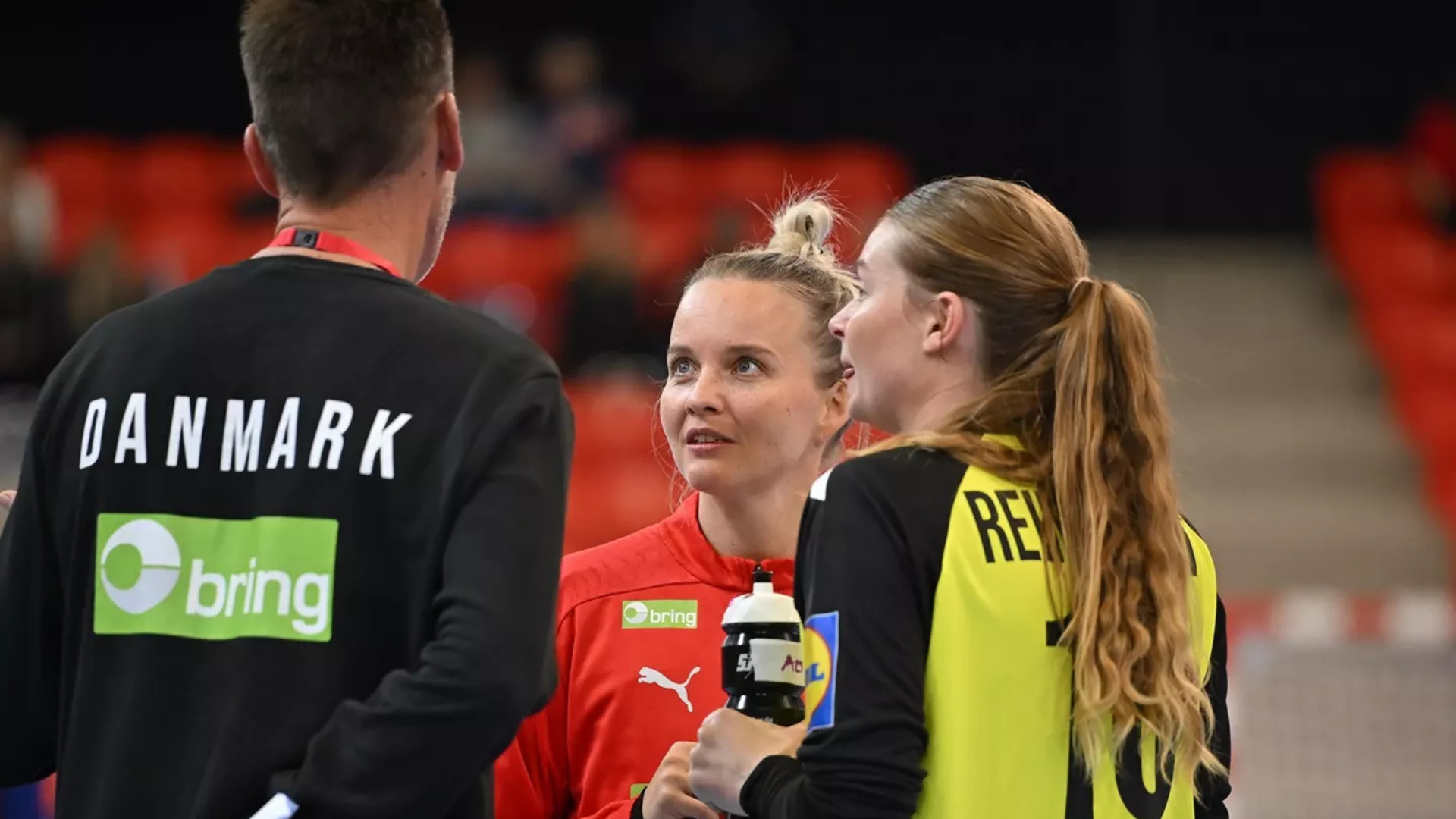 Danske profiler kommer ikke tilbage til EM Danske profiler kommer ikke tilbage til EM