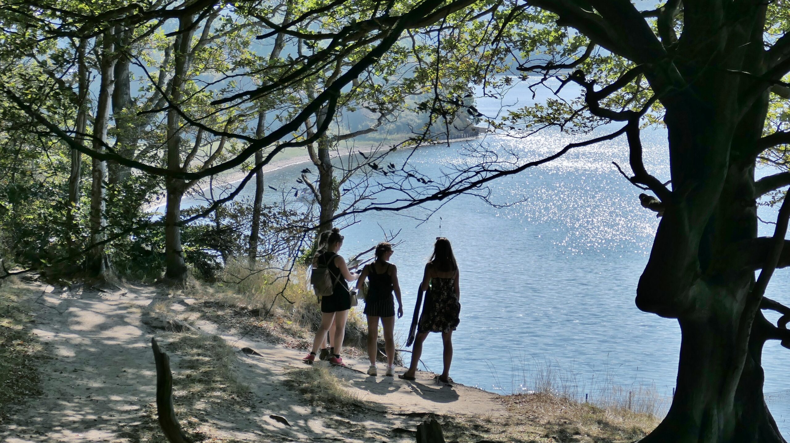 Stort smil i byrådssalen: 60 nye kilometer til Lillebæltstien