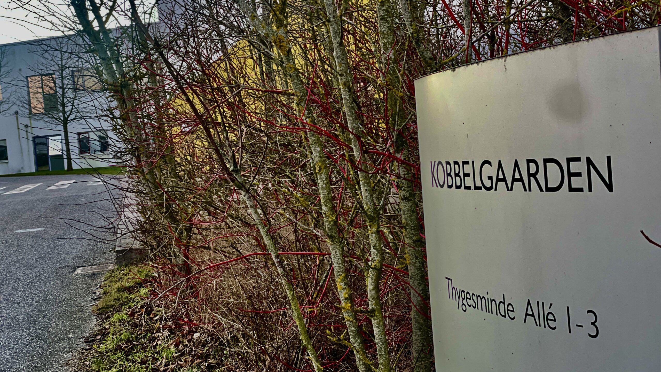 Dansk Folkeparti vil skabe helt nyt botilbud på Kobbelgårdens matrikel