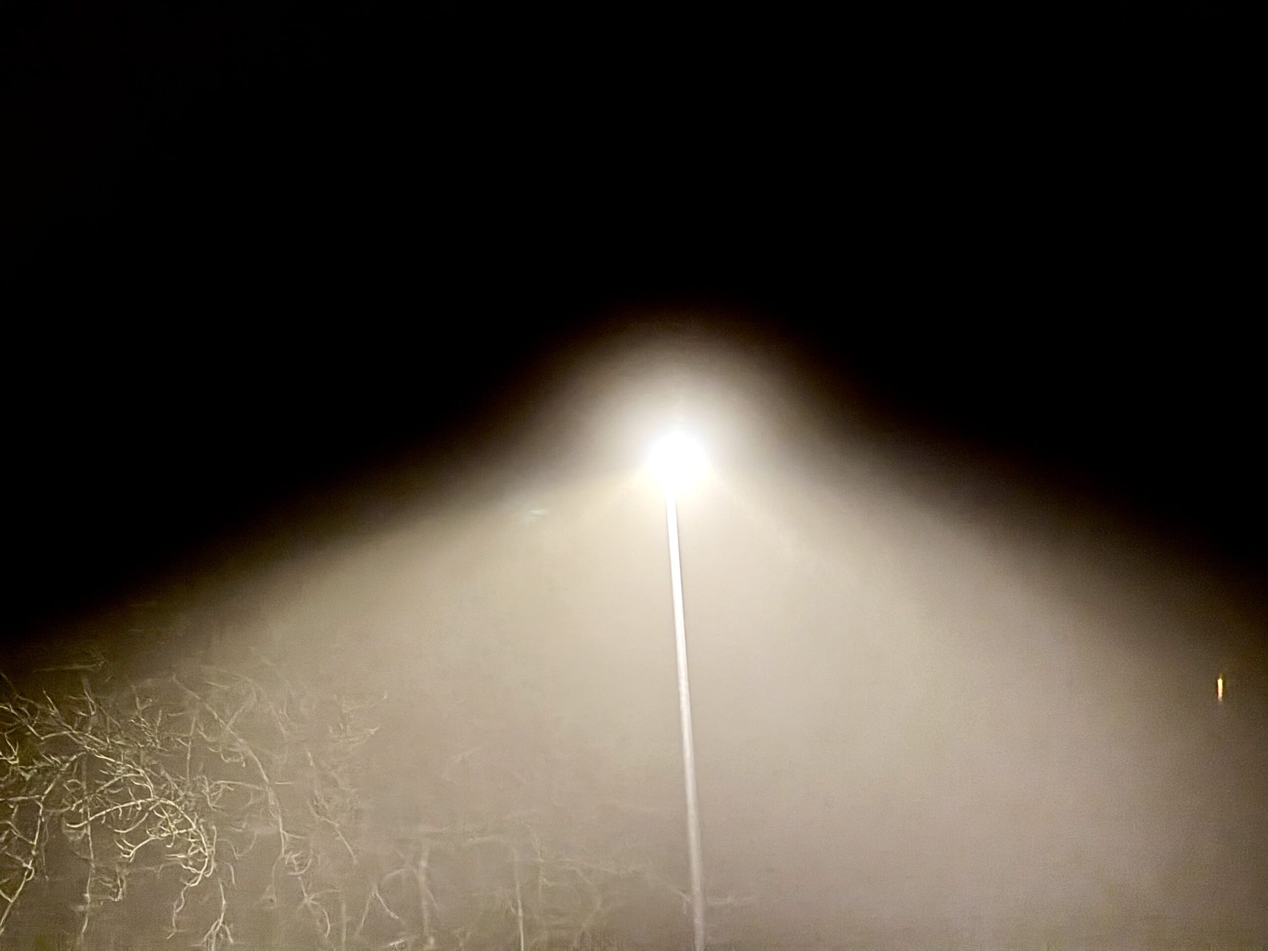 DMI varsler tæt tåge