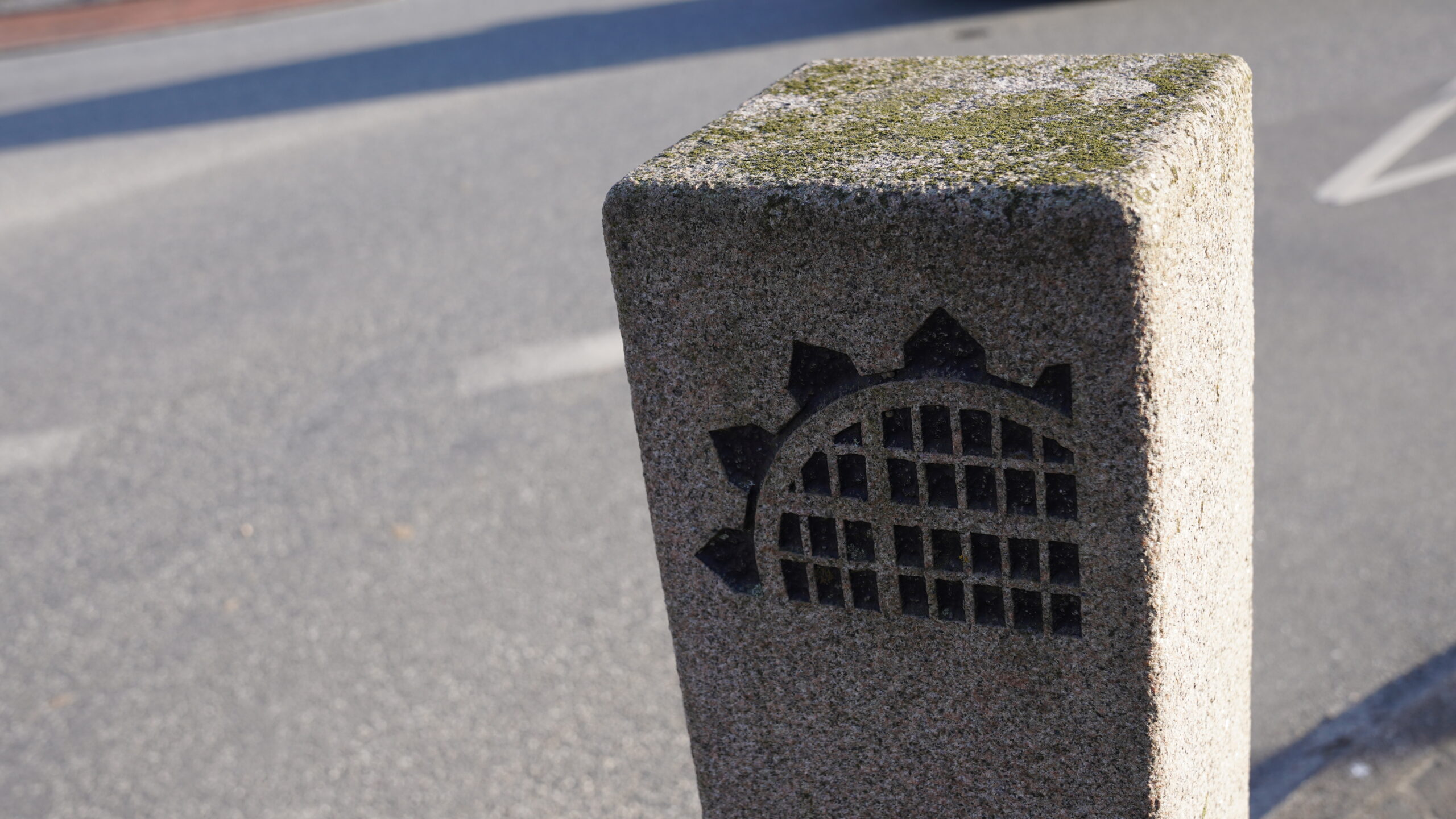 Fredericia Kommunes regnskab for 2024 får godkendt stempel Fredericia Kommunes regnskab for 2024 får godkendt stempel