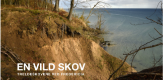 Forsiden på bogen - En vild skov - Treldeskovene ved Fredericia