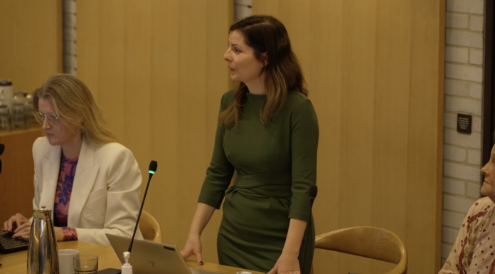 31.03.25 Cecilie Roed Schultz Byrådsmøde i Fredericia