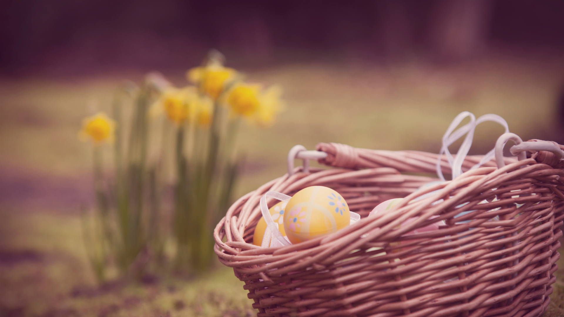 Pak jakken til påskejagten: Mange skyer og kølige temperaturer