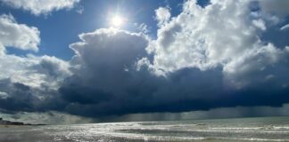 Danskernes paradoks: Stærk økonomi - Lav forbrugertillid