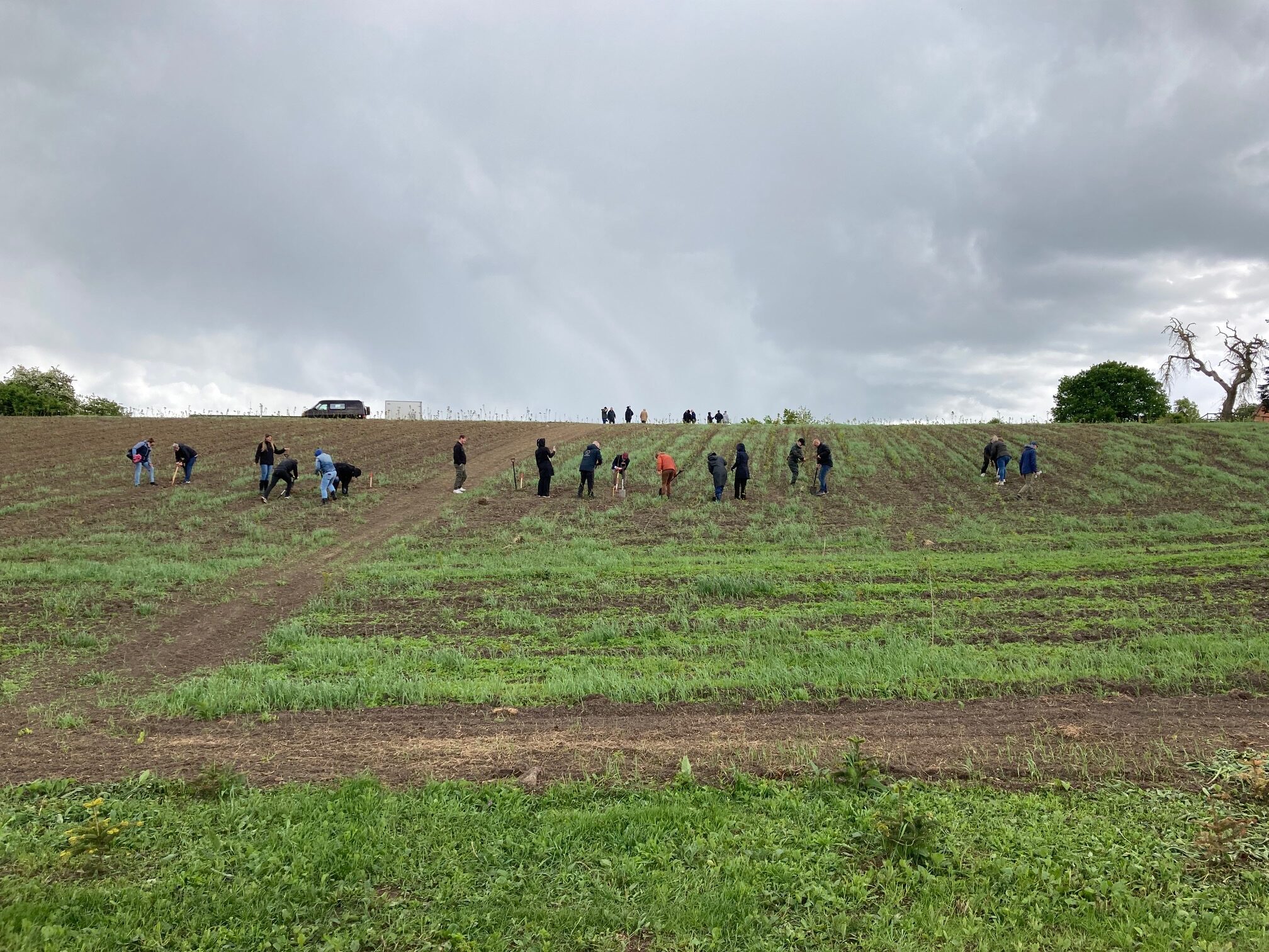 Herslev Folkeskov er grøn omstilling med omtanke Herslev Folkeskov er grøn omstilling med omtanke
