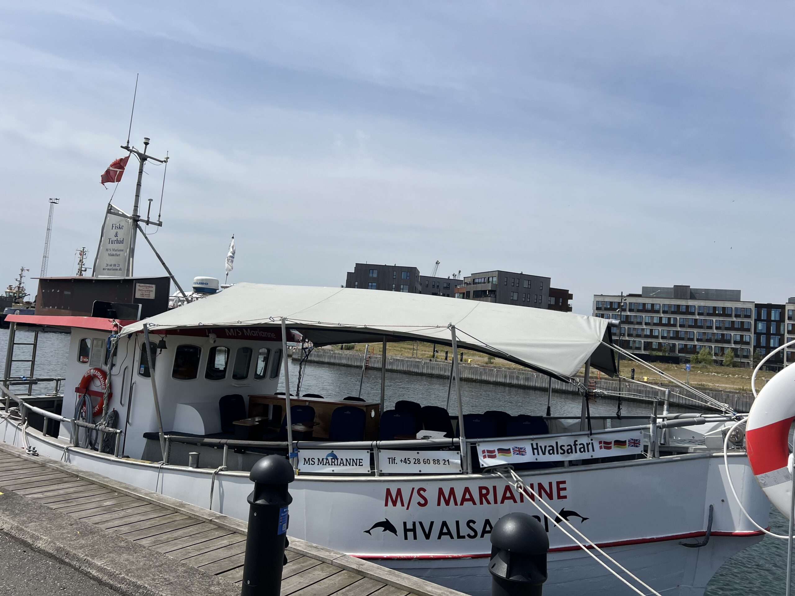 Kurt Østergaard elsker Lillebælt og marsvinene: »Alle skal have oplevelsen med«