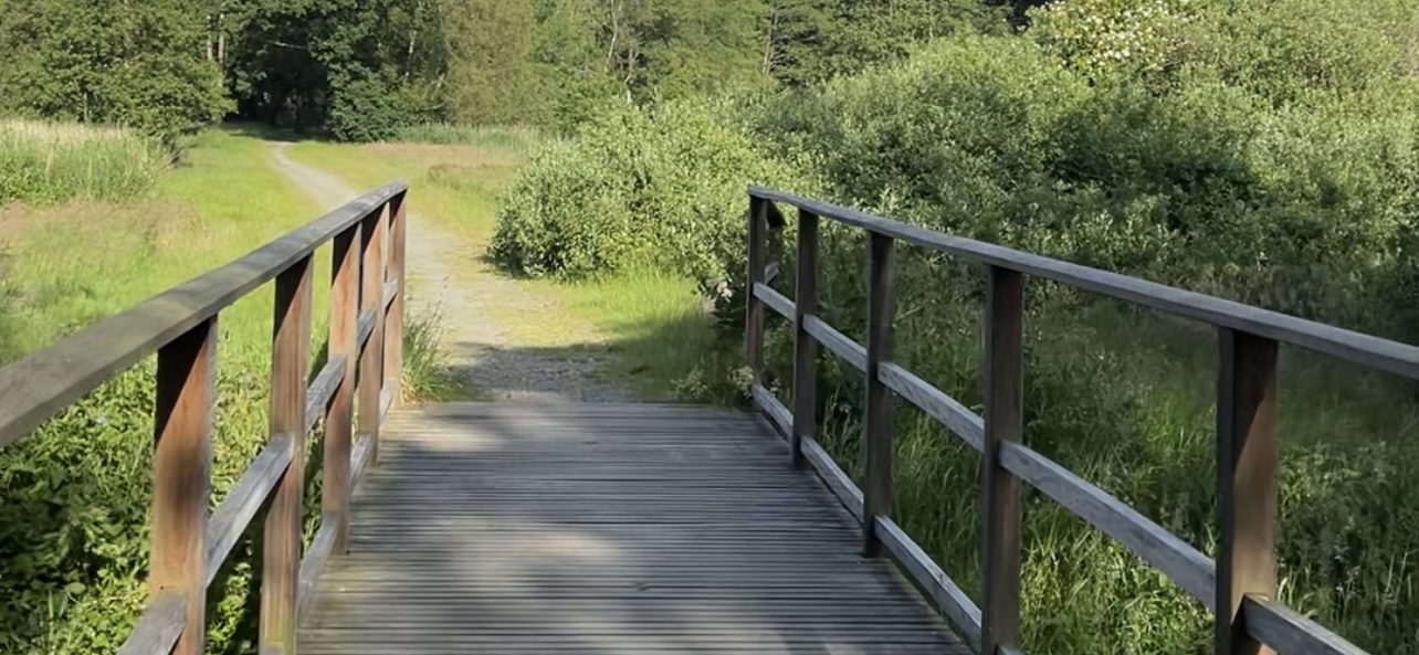 Skjulte Skatte: Elbodalruten gemmer på stor natur og små oplevelser