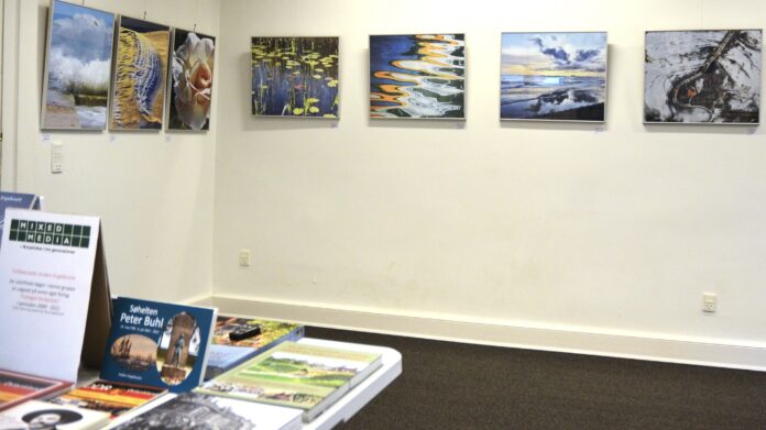 Udsnit af de 69 udstillede værker. Her Rosa Engelbrechts fotos med temaet vand og et hjørne af de 53 bogtitler som er med på udstillingen. Foto: Rosa Engelbrecht.