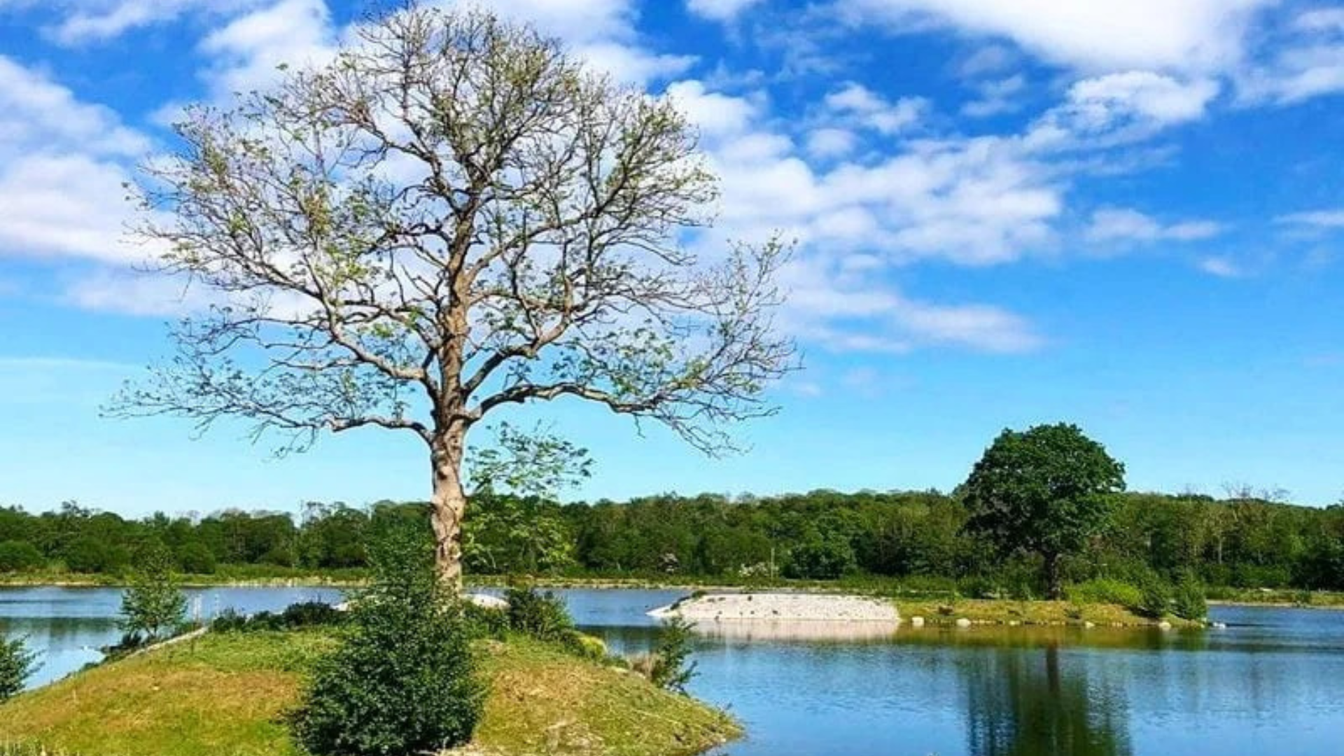 Odense Byråd vedtager Kommuneplan 2024-2036: Klar kurs mod vækst, grøn omstilling og fremtidens Odense Odense Byråd vedtager Kommuneplan 2024-2036: Klar kurs mod vækst, grøn omstilling og fremtidens Odense