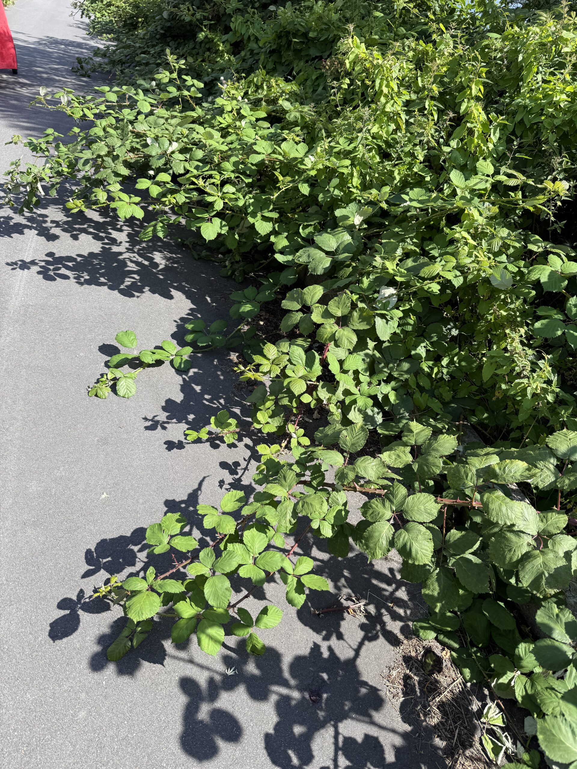 Leder: Når byen ikke står skarpt