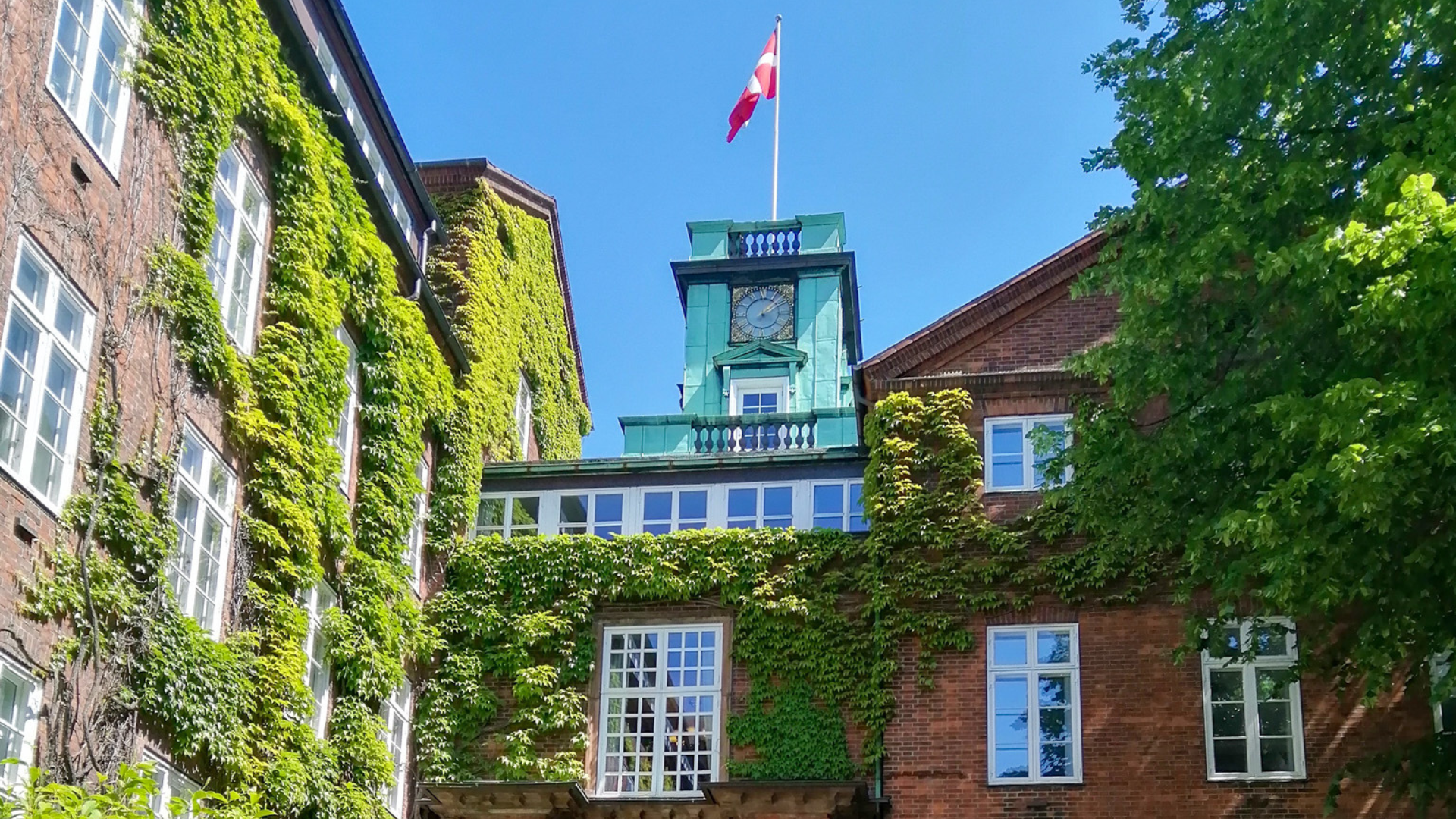 Kolding vil binde by og havn sammen – Falck-grunden bliver første skridt