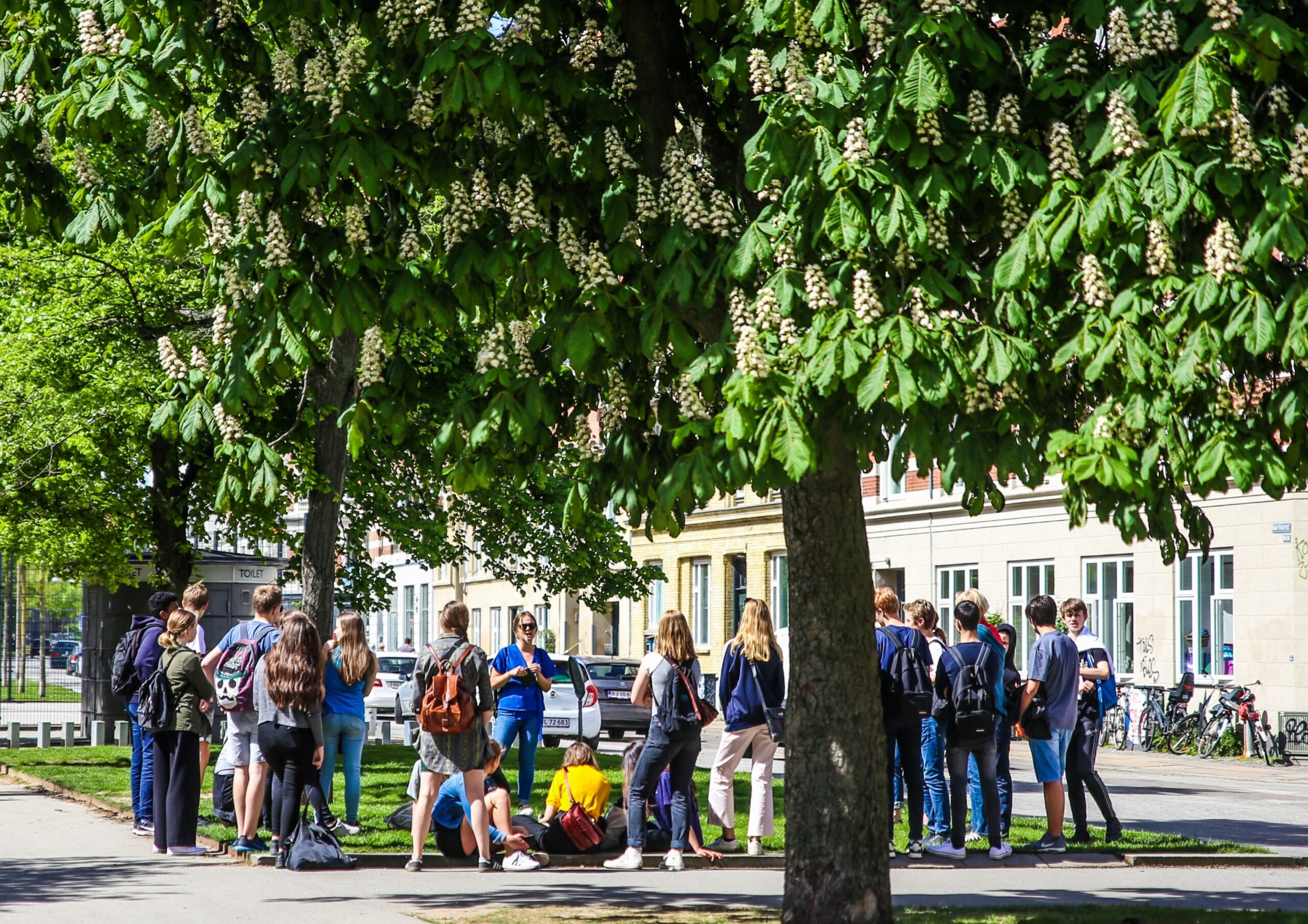 Middelfart tager nyt skridt mod grøn dannelse – børn og unge får nøglerollen Middelfart tager nyt skridt mod grøn dannelse – børn og unge får nøglerollen