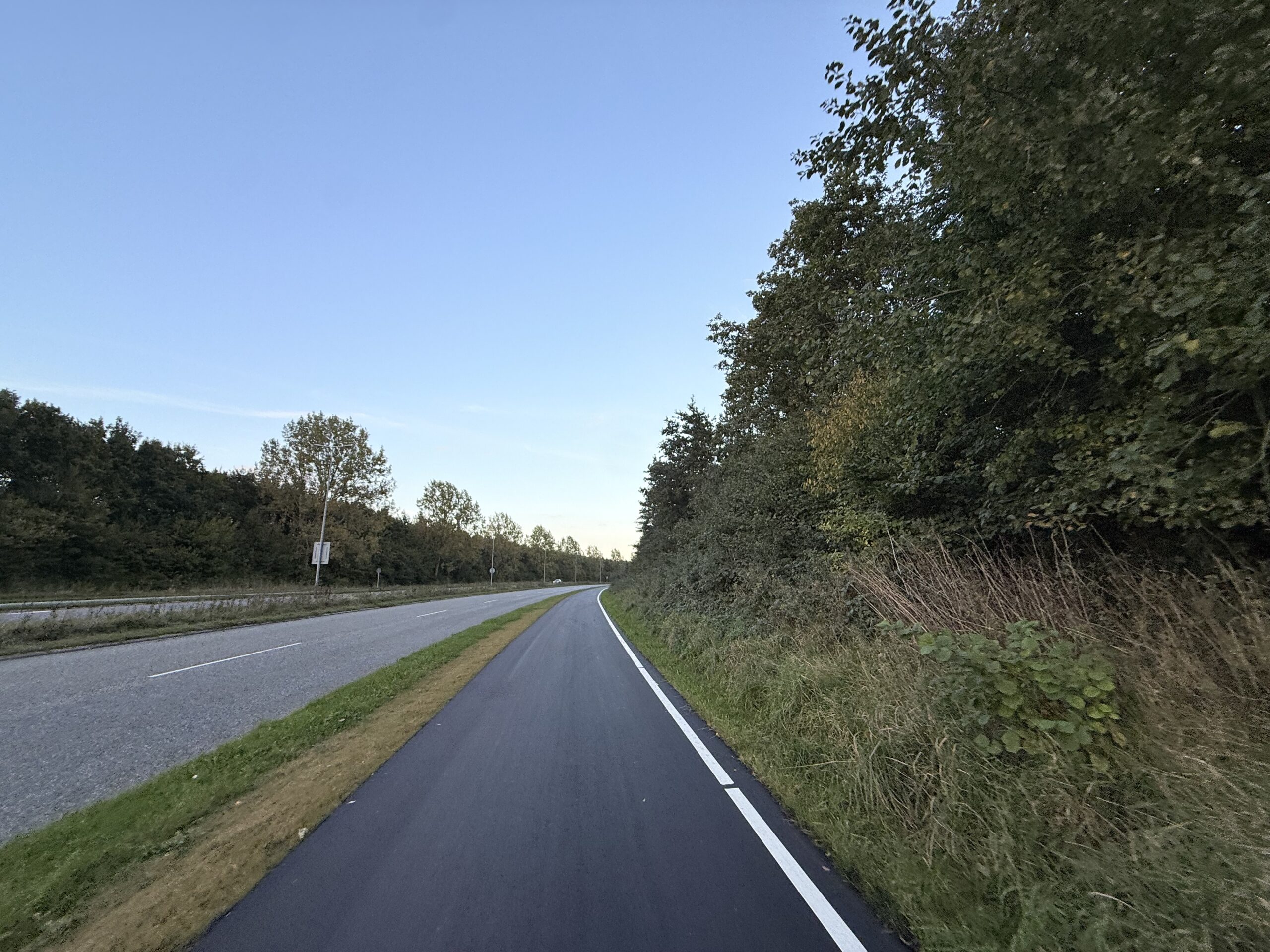 LEDER: Kommunaldirektøren har begået et selvmål