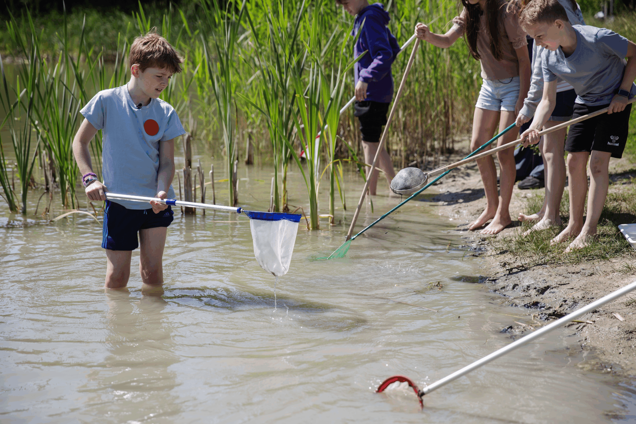 Når naturen åbner dørene – Fredericia er med i årets Naturens Uge