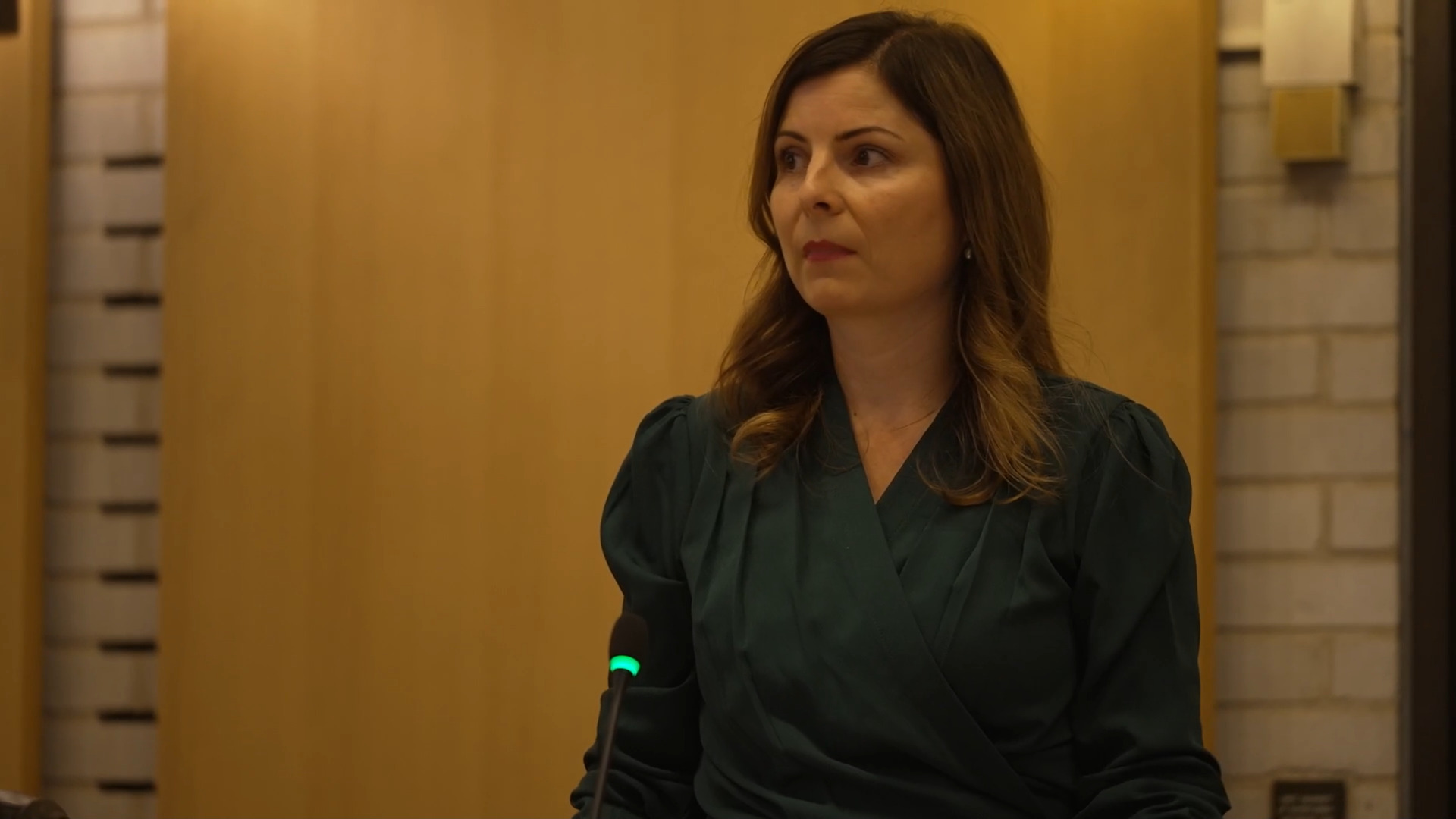 Cecilie Roed Schultz: Et solidarisk budget og et sønderlemmende opgør med Socialdemokratiet