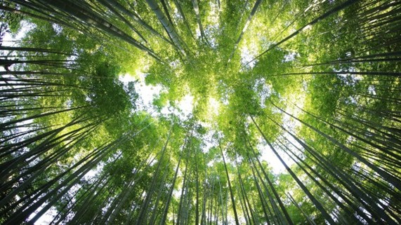 Mentalt Golf Tip: Sådan mestrer du dit B-Spil