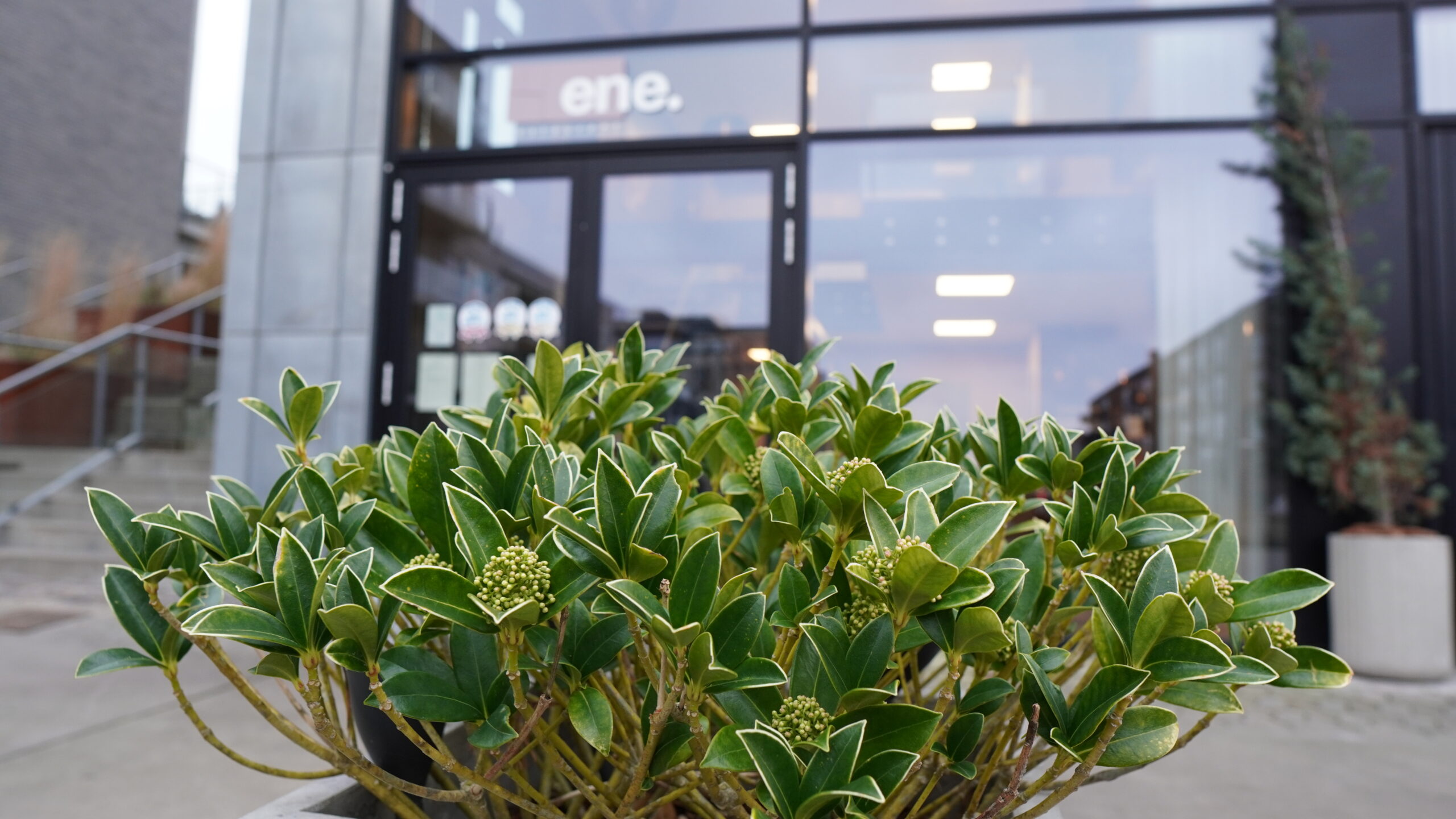 Ved Kanalen: Et alrum ved vandet med brasserie-retter og gode vine Ved Kanalen: Et alrum ved vandet med brasserie-retter og gode vine