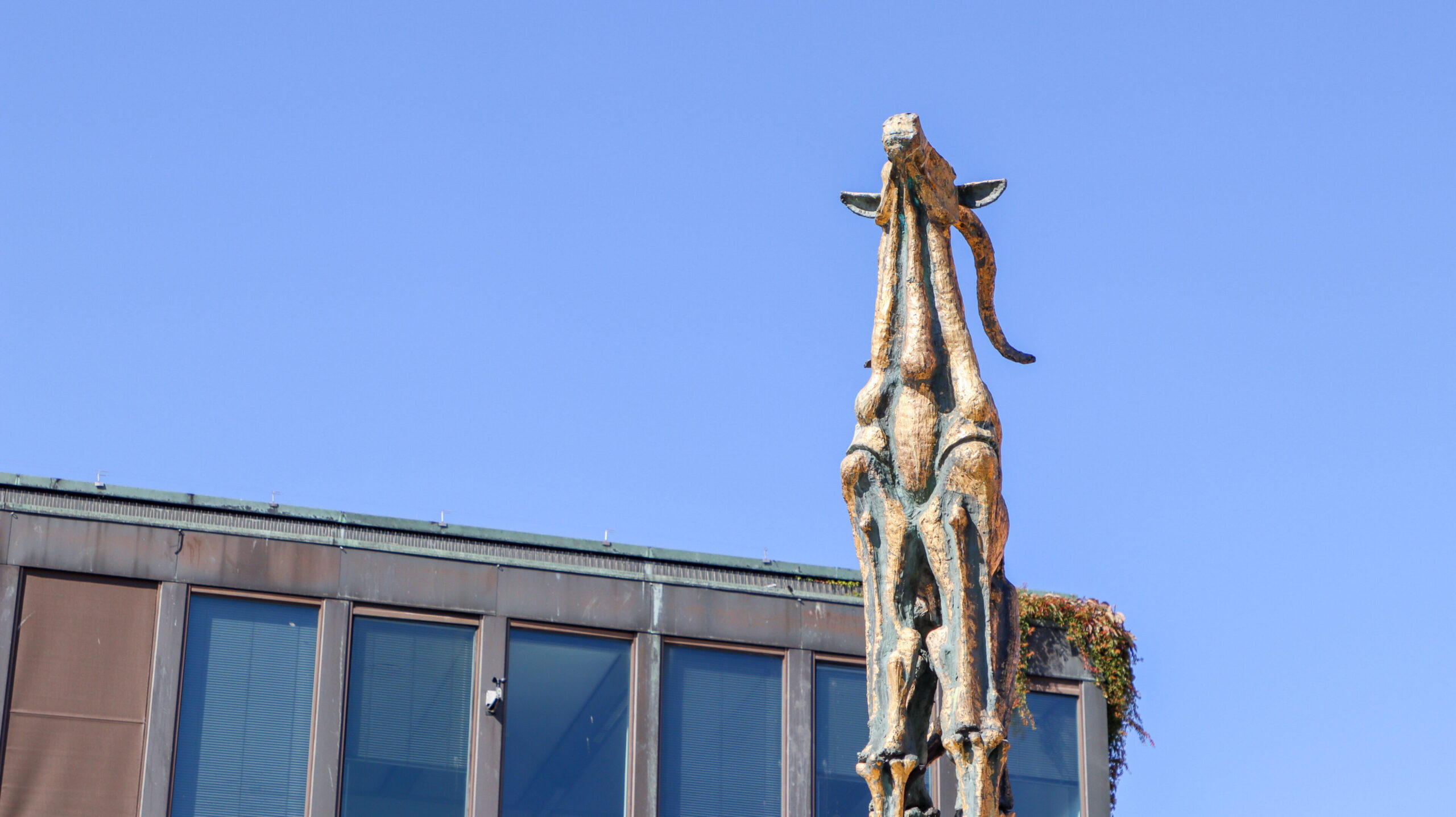 Fredericia Kommune udbetalte knap 36 millioner kroner til medier, sport og kultur i 2025