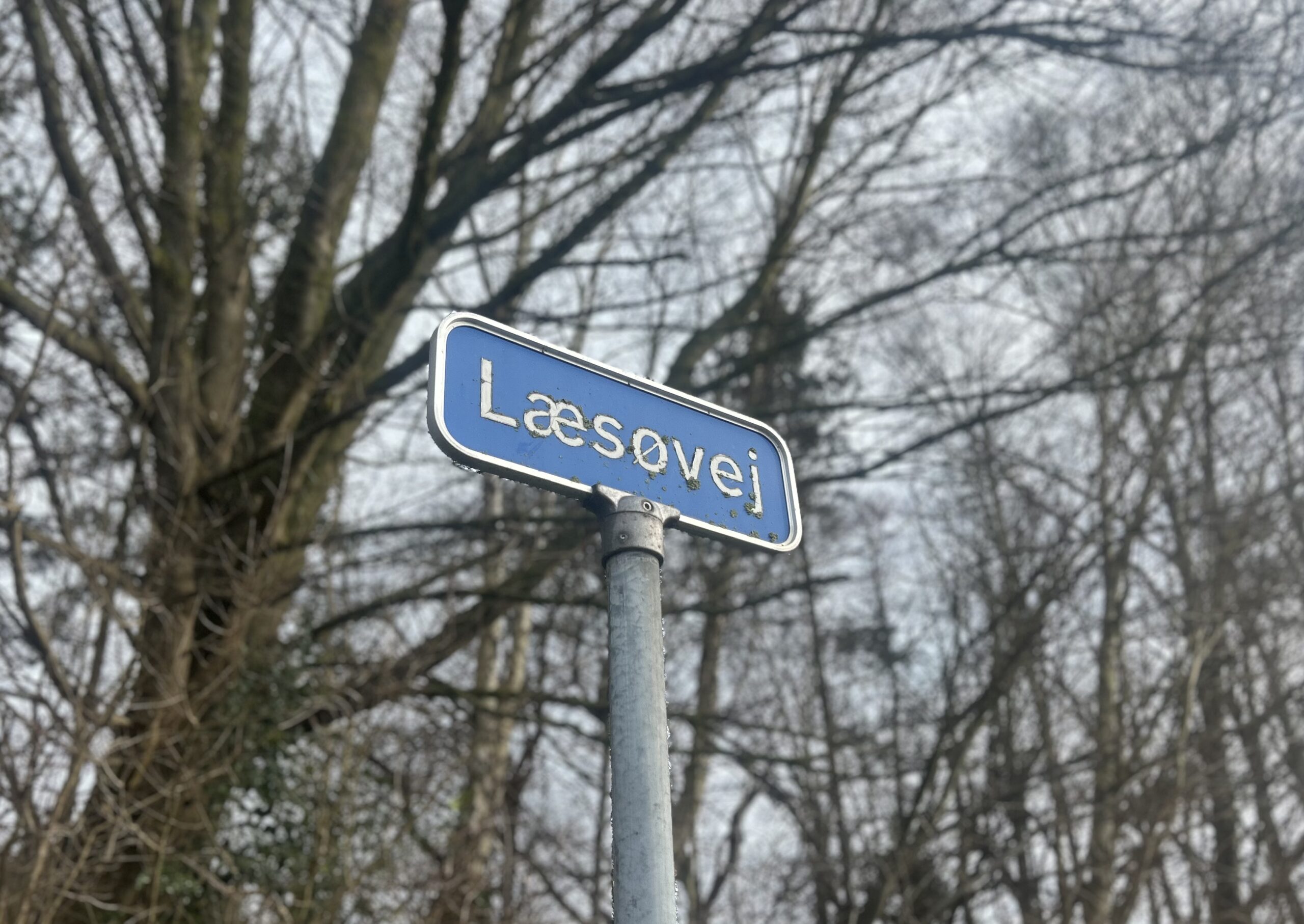 Læsøvej i Fredericia