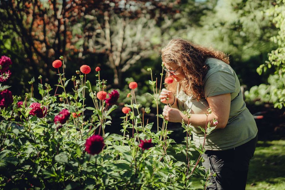 Foto: Nicky Hendrich Foto: Nicky Hendrich