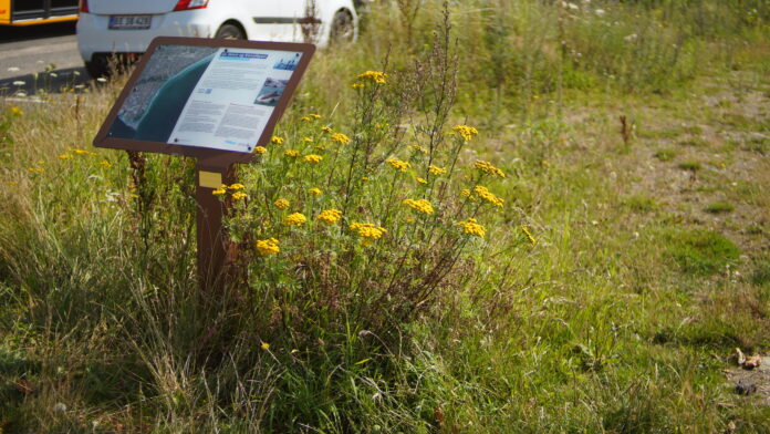 2024.08.03@10.26.45_1