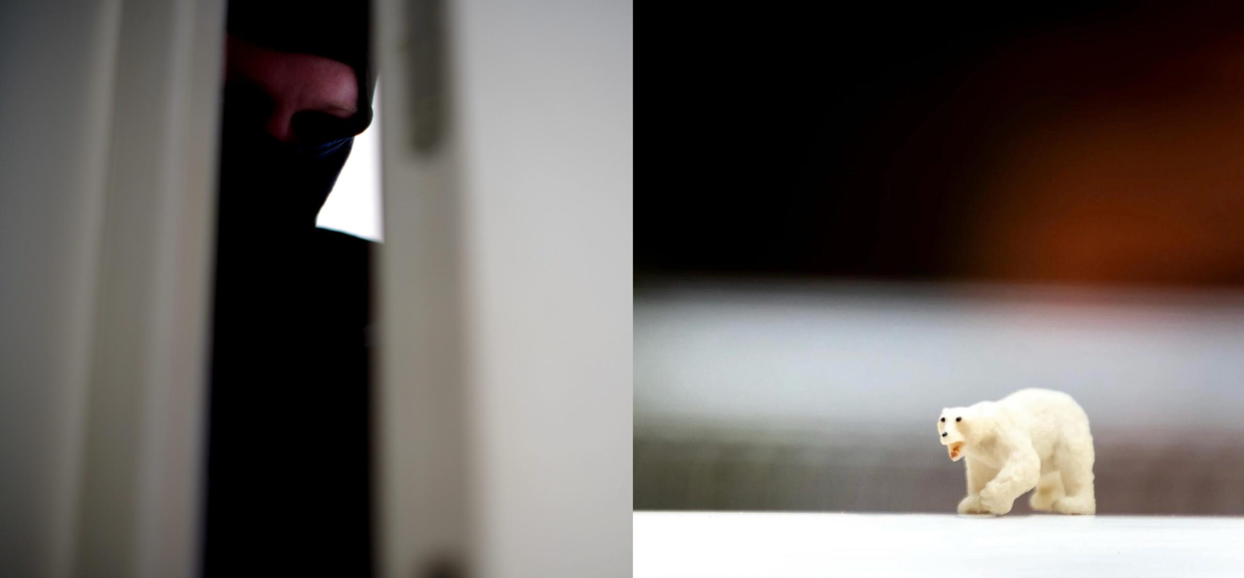 Tyve på isbjørnejagt i Erritsø