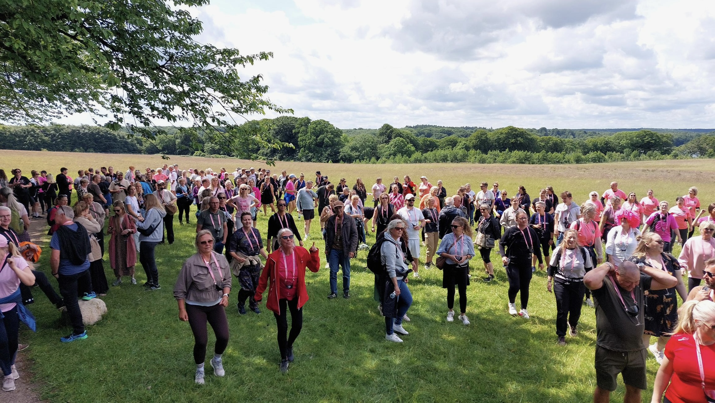 Middelfarts rosenrøde tilløbsstykke er tilbage: Igen i år løber 500 deltagere gennem dyrehaven med rosé i glasset