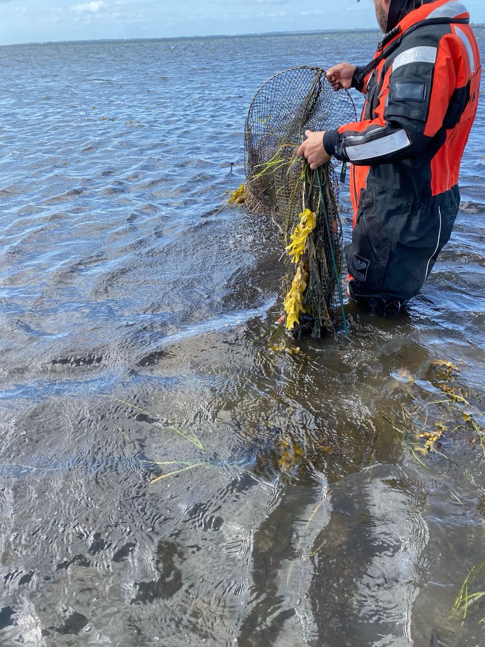 Årvågen borger afslører ulovlige ruser i det fynske øhav Årvågen borger afslører ulovlige ruser i det fynske øhav