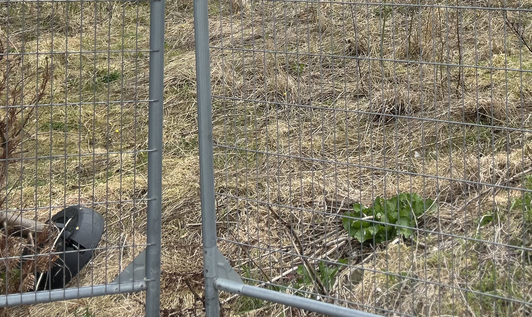 Fredericianer inden for voldene: »Hvad er planen for herinde?« Fredericianer inden for voldene: »Hvad er planen for herinde?«