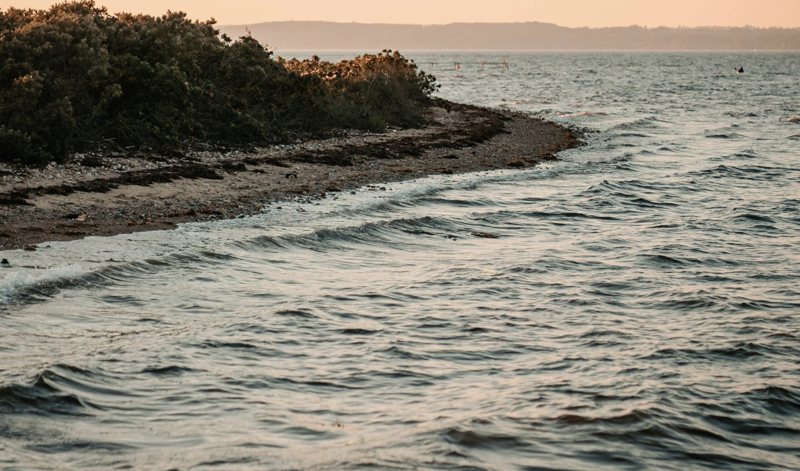 Hele Danmark kæmper med gift i vandet – Lillebælt overskrider grænserne voldsomt Hele Danmark kæmper med gift i vandet – Lillebælt overskrider grænserne voldsomt