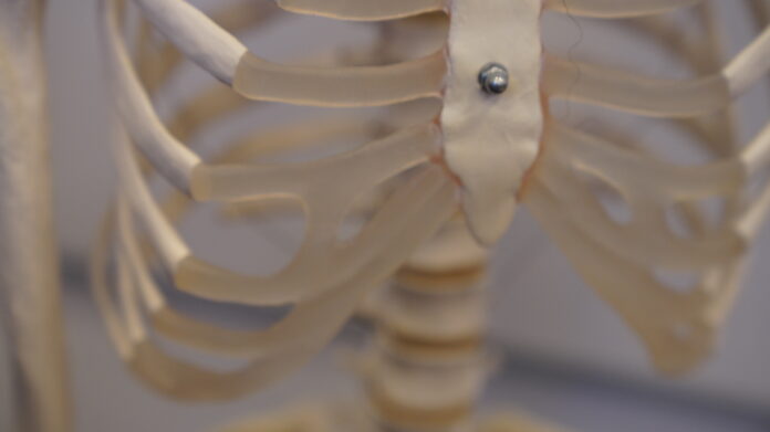 2021.10.29@11.38.29_3