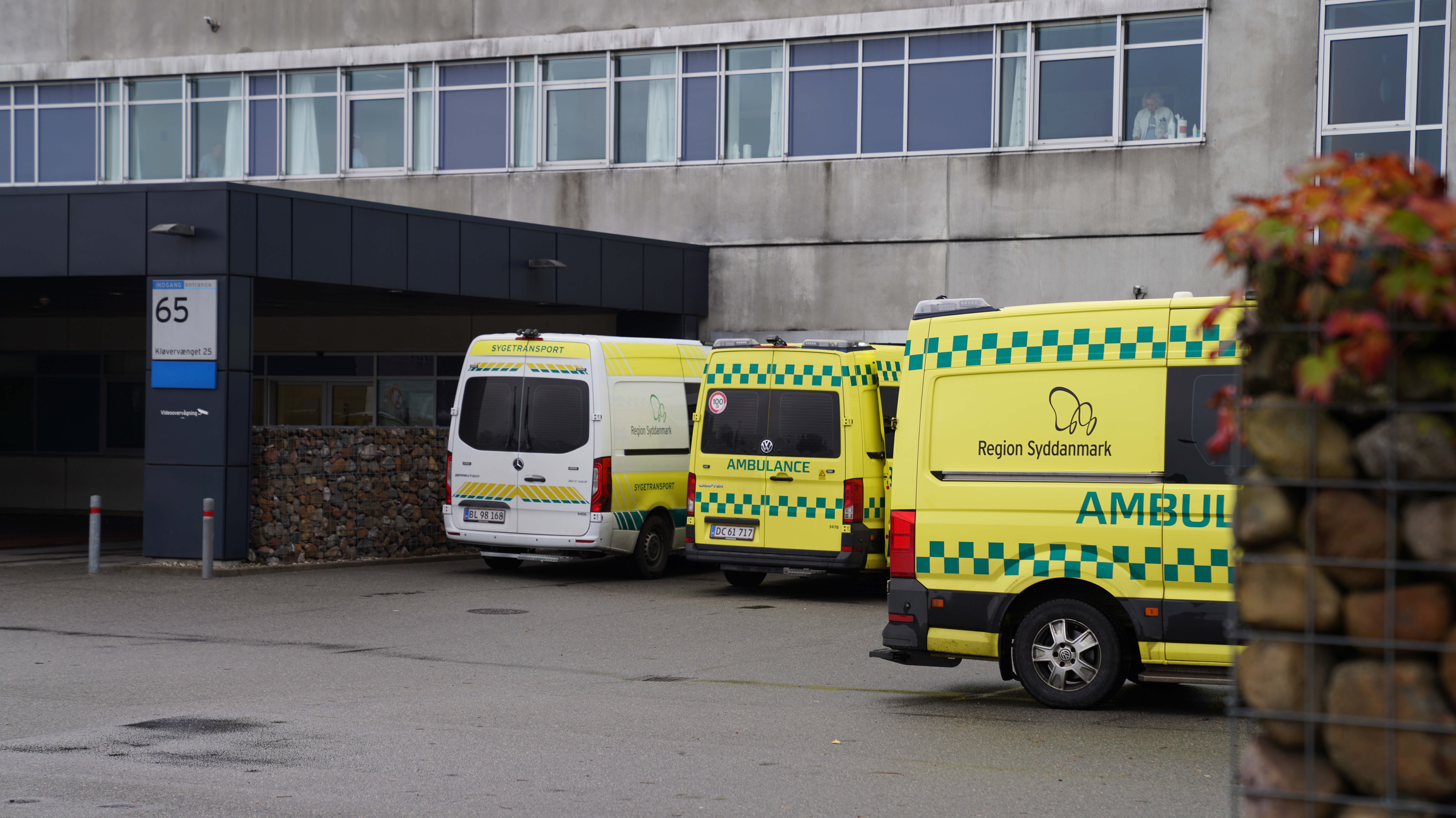 Rekordmange syddanskere til åbent hus på sygehuse og sociale institutioner