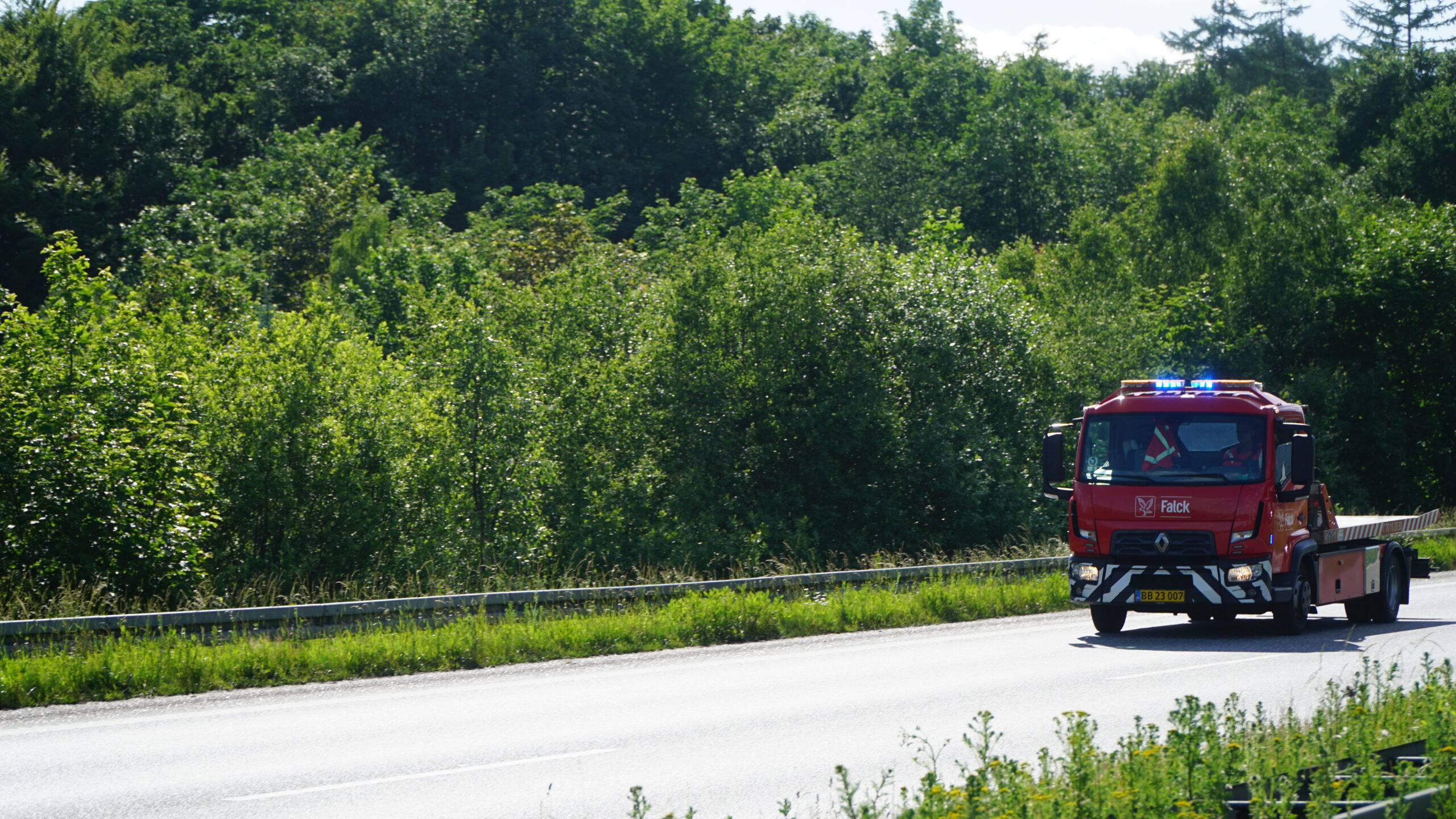 Tre biler og en lastbil ramt af væltet grantræ på motorvej Tre biler og en lastbil ramt af væltet grantræ på motorvej