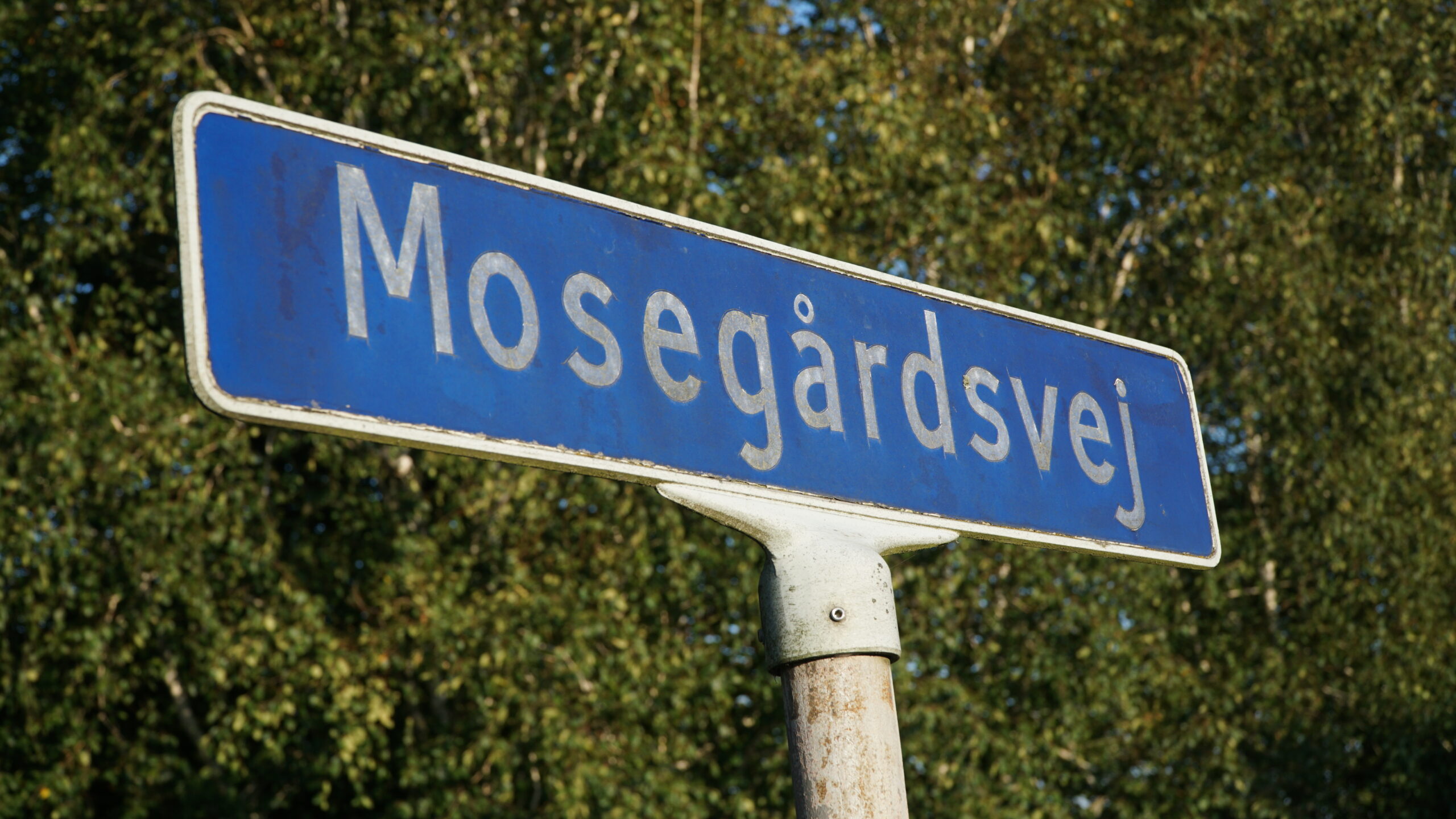 14 boliger ved skovkanten: Forvaltningen anbefaler afslag for anden gang