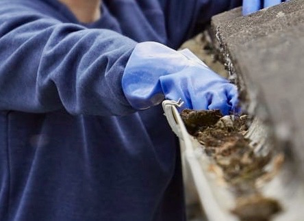 Forsikringsselskaber slår samlet alarm – risiko for massive regnskader Forsikringsselskaber slår samlet alarm – risiko for massive regnskader