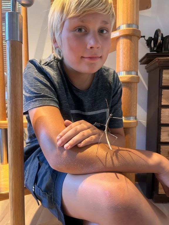 10-årig dreng fra Lunderskov er forsvundet