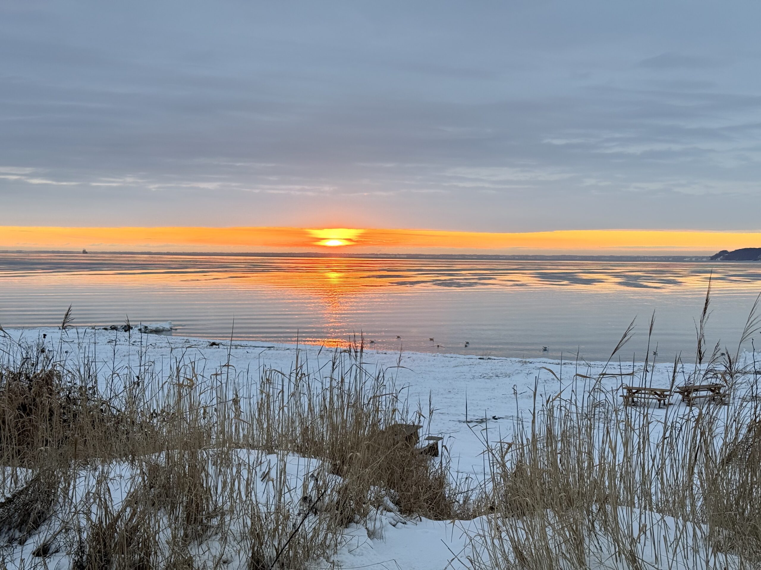 Dødsfald Fredericia uge 5-8, 2026