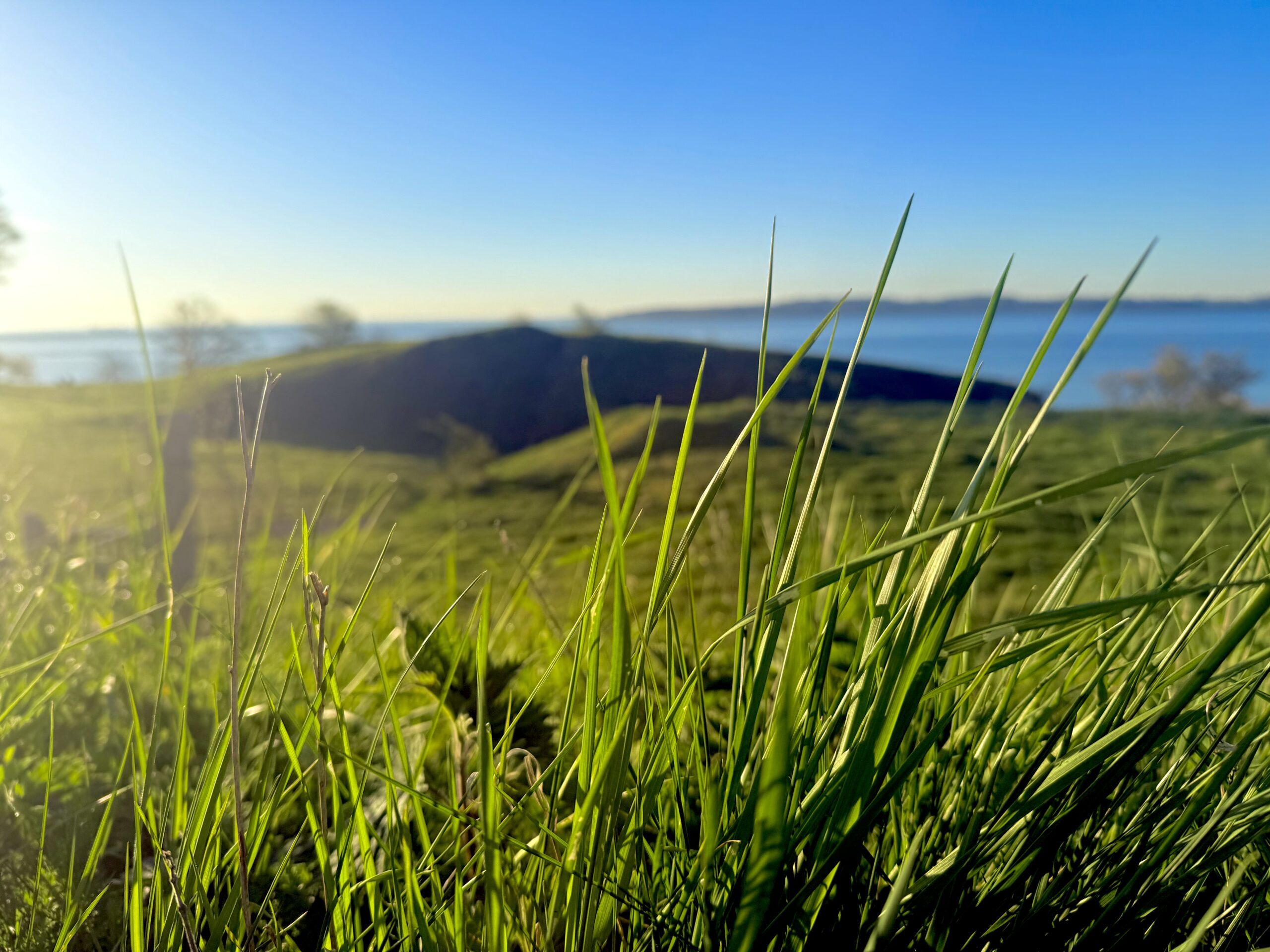 Dødsfald Fredericia uge 16