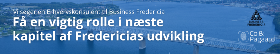 Business Fredericia 930 x 180